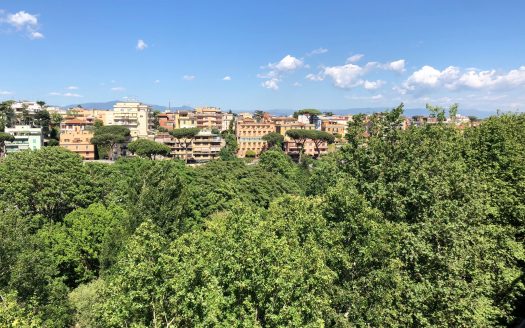 Attico panoramico in buono stato