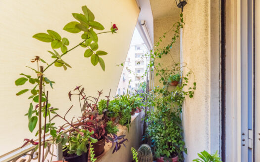 Trilocale recentemente ristrutturato